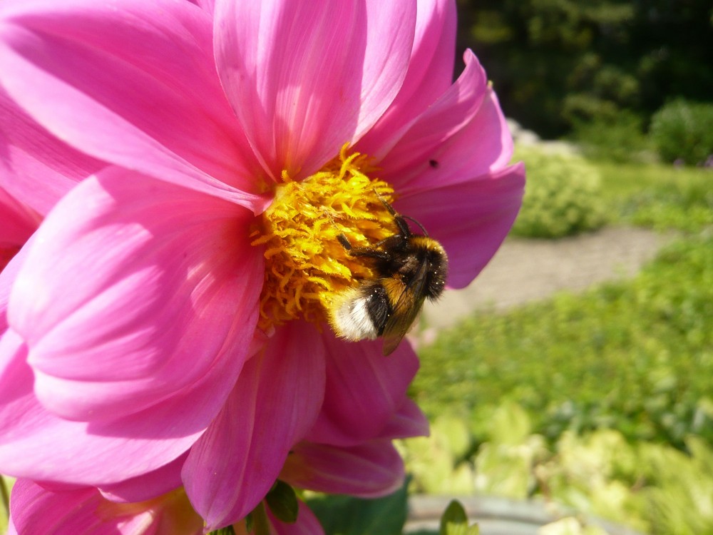 Besuch im Garten