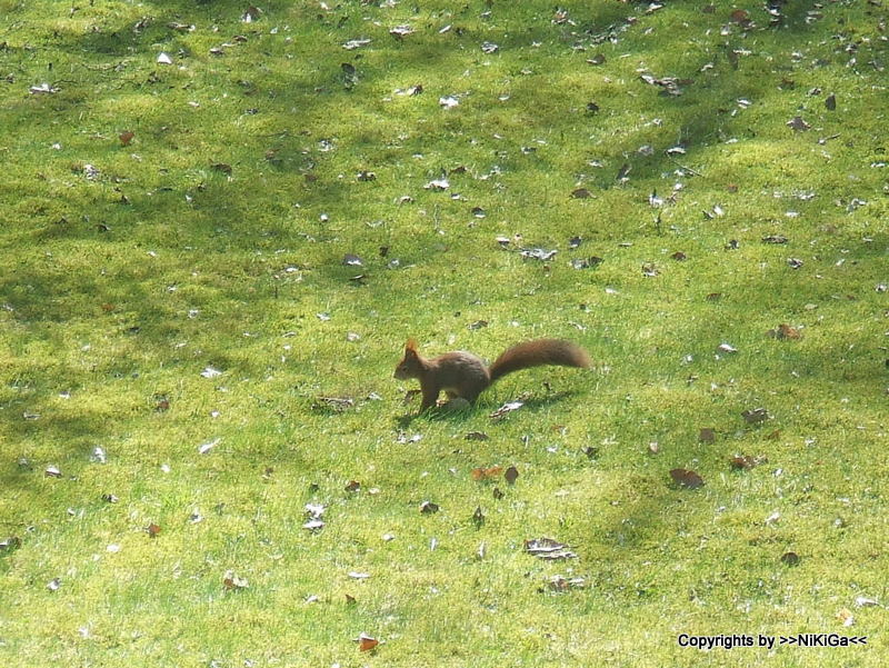 Besuch im Garten