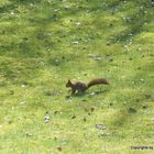 Besuch im Garten