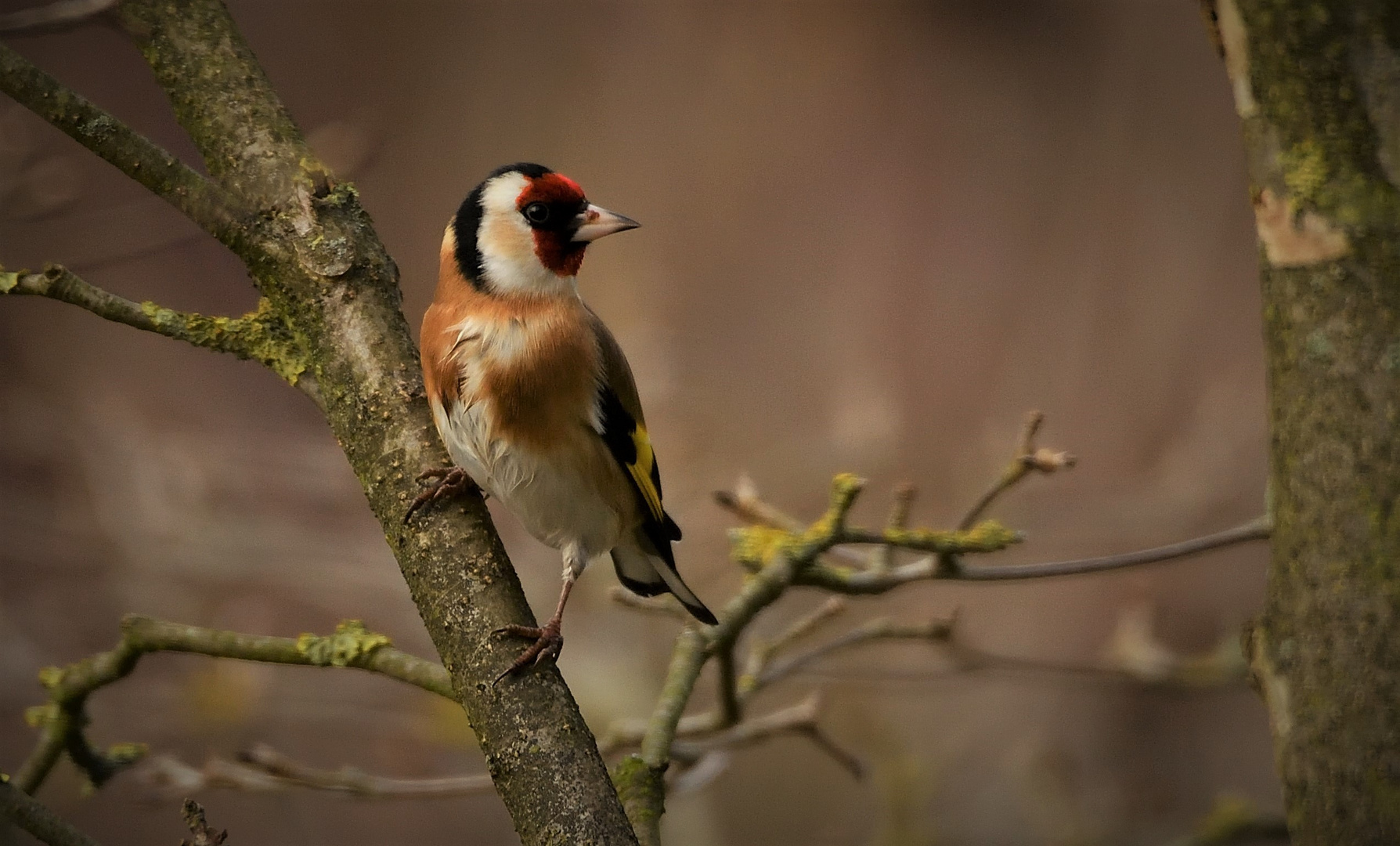 Besuch im Garten 