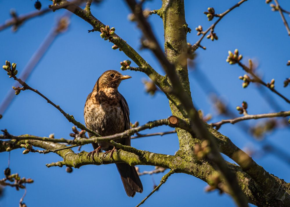 Besuch im Garten