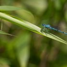 Besuch im Garten