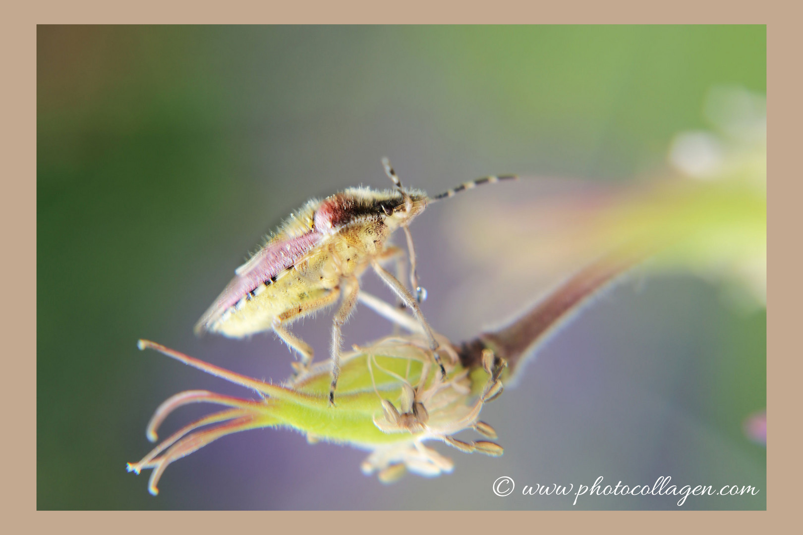 Besuch im Garten