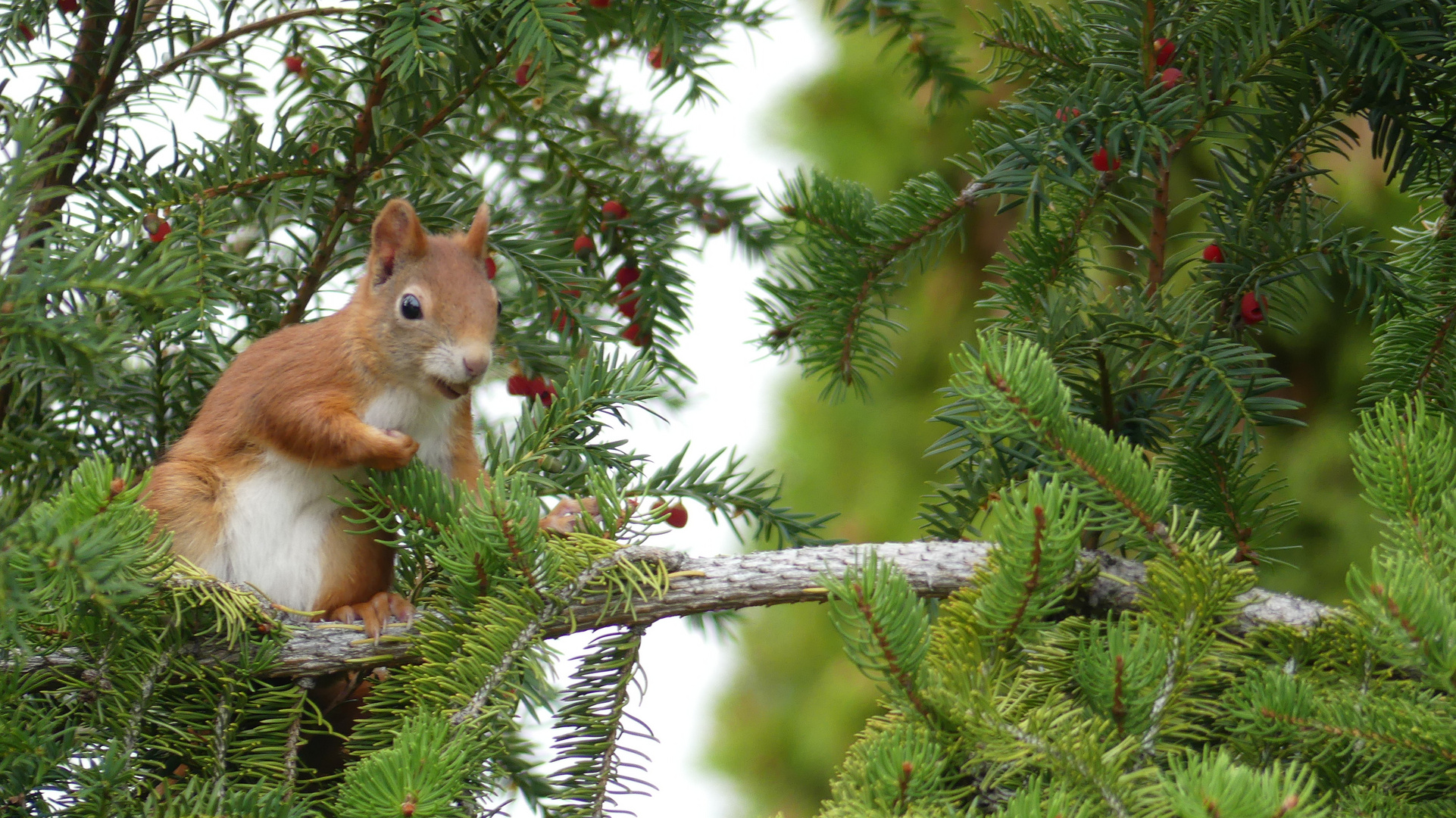 Besuch im Garten 