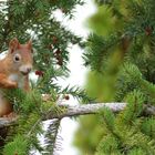 Besuch im Garten 