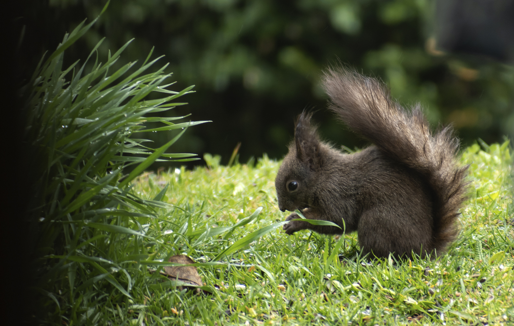 Besuch im Garten