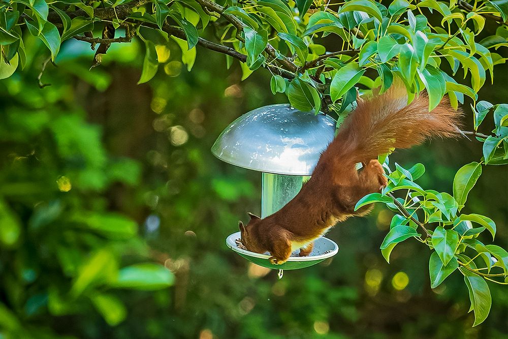 Besuch im Garten