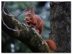 Besuch im Garten