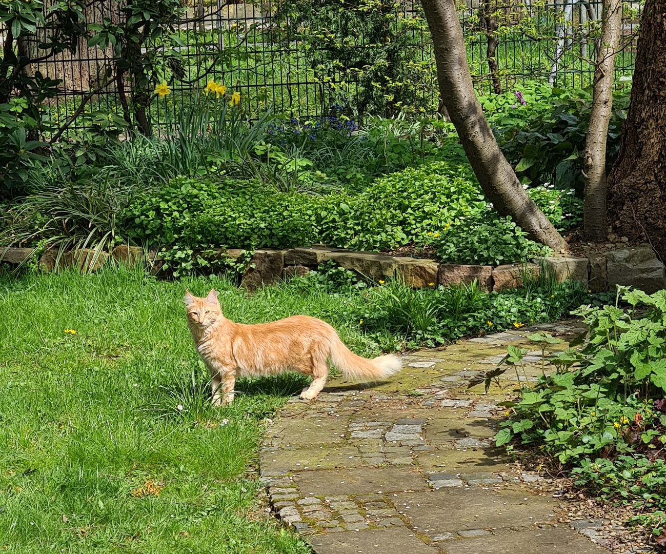 Besuch im Garten