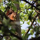 Besuch im Garten