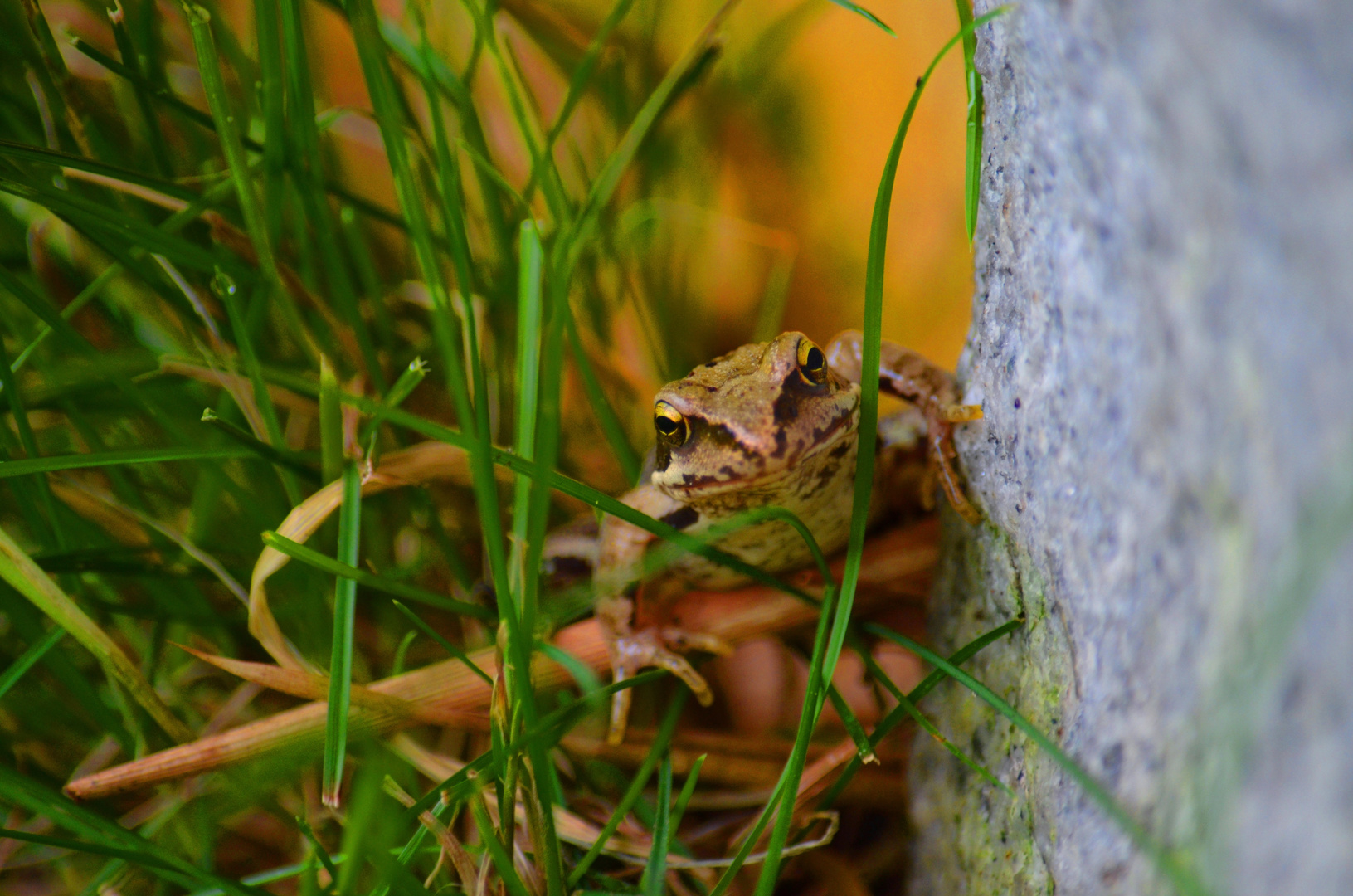 Besuch im Garten