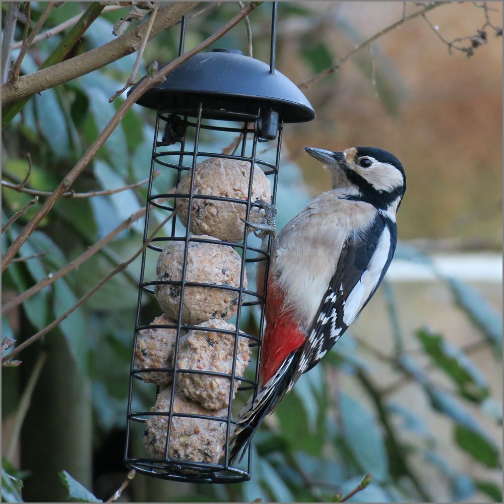 Besuch im Garten