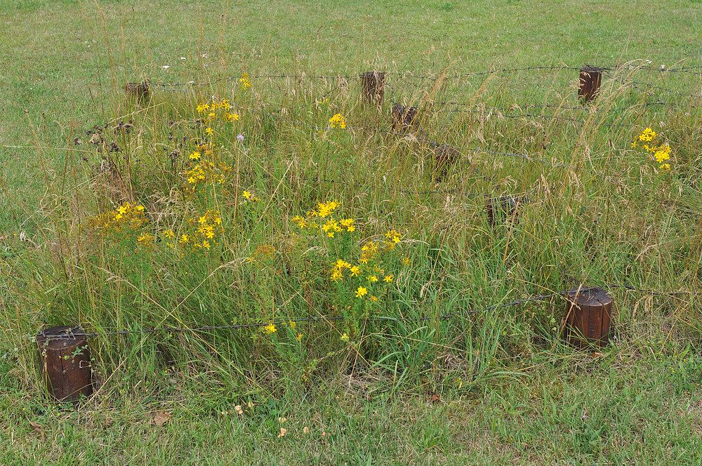 Besuch im „Grenzhus“ – Stacheldrahtidylle