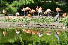 Besuch im Kölner Zoo