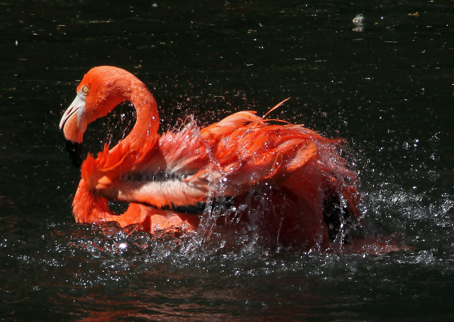 Besuch im KR-ZOO