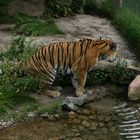 Besuch im Leipziger Zoo