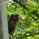 Besuch im Mundenhof / Umkirch