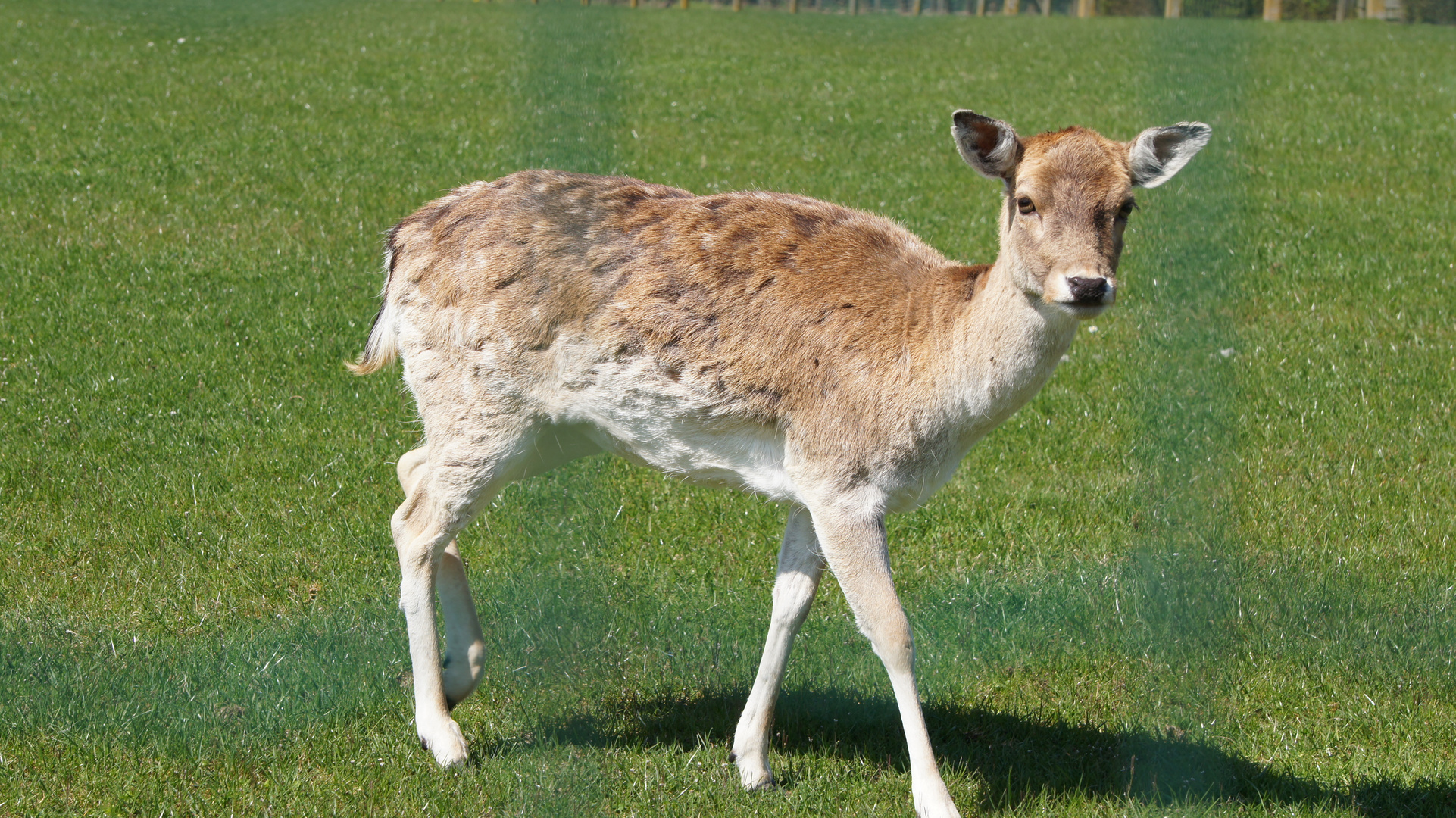 Besuch im Park