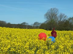 Besuch im Rapsfeld