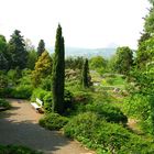 Besuch im Rosarium Sangerhausen - 1. Mai 2009 (2)