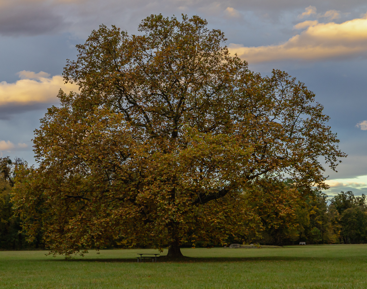 Besuch im Schlosspark Laxenburg