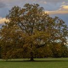 Besuch im Schlosspark Laxenburg