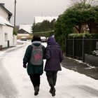 Besuch im Schnee