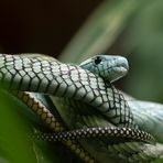 Besuch im Terra Zoo Rheinberg