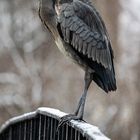 Besuch im Tiergarten Schönbrunn 