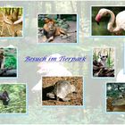 Besuch im Tierpark