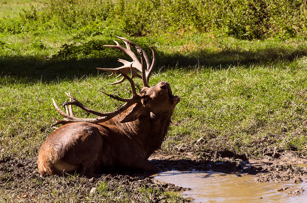 Besuch im Tierpark.....