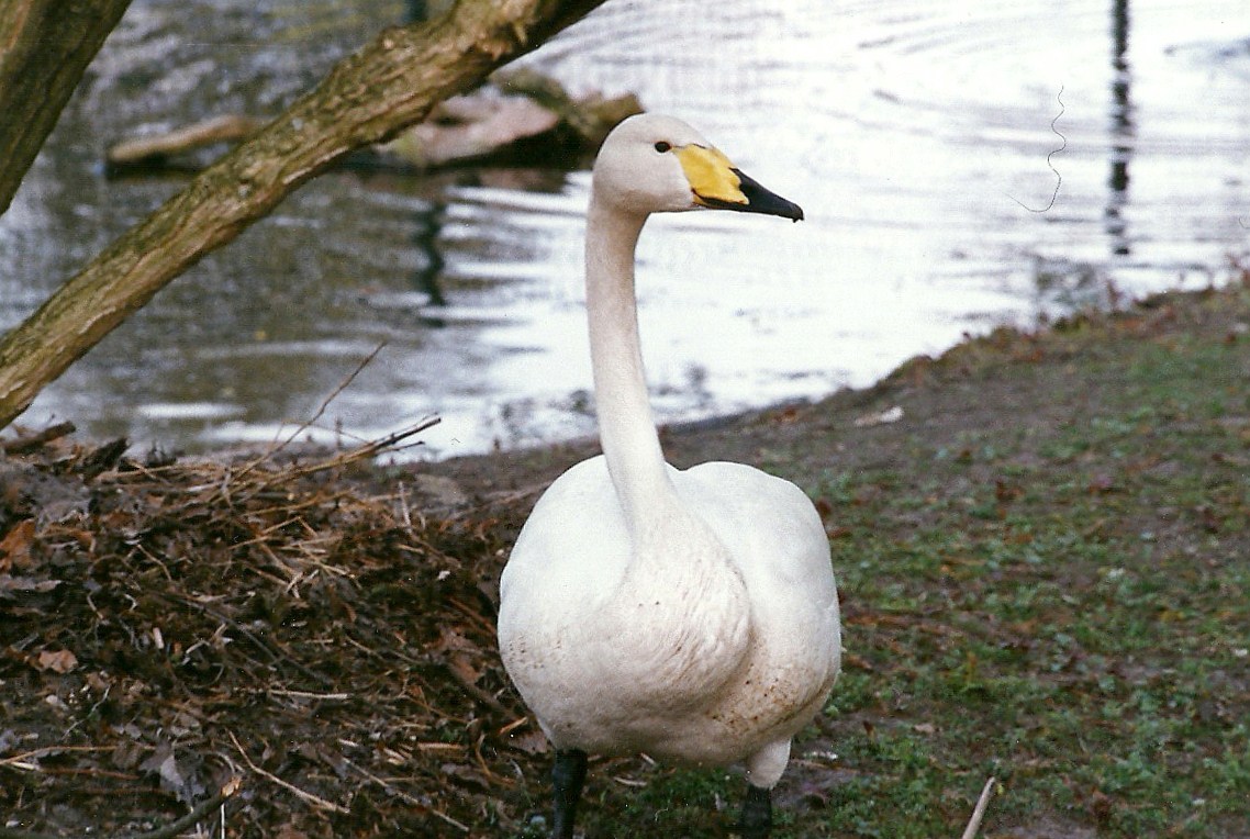 Besuch im Tierpark