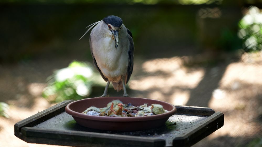 Besuch im Tierpark