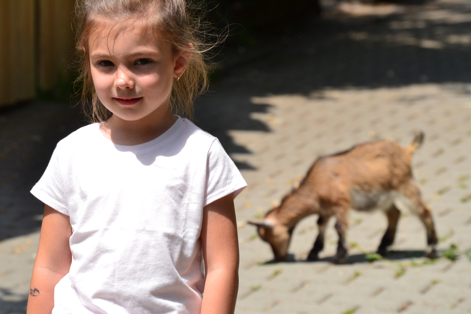 Besuch im Tierpark