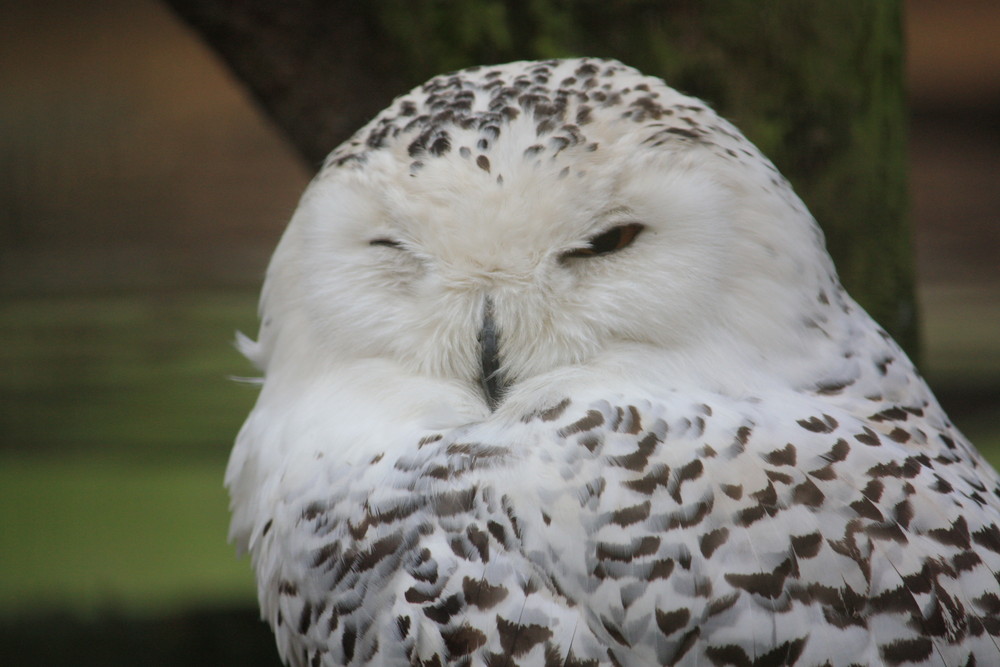 Besuch im Tierpark