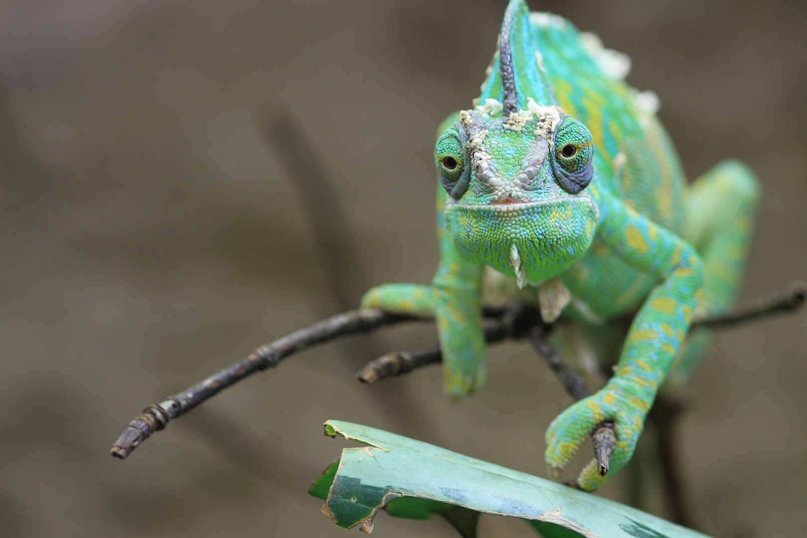 Besuch im Tierpark Berlin II