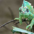 Besuch im Tierpark Berlin II