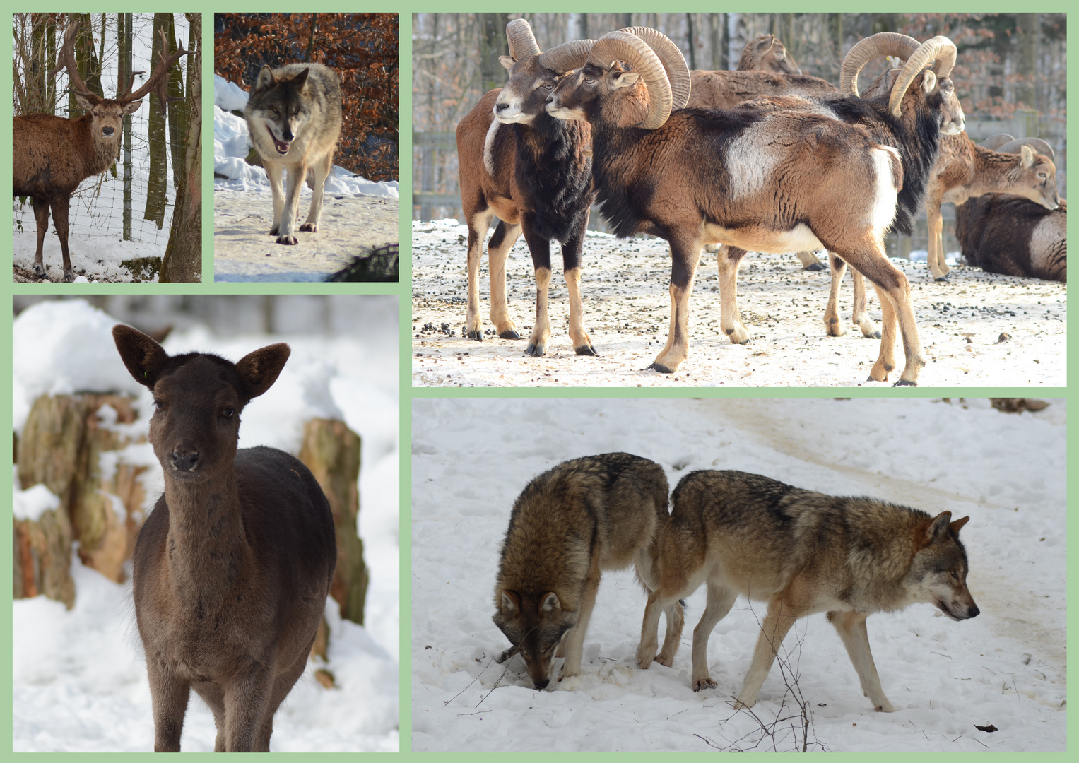 Besuch im Tierpark Bruderhaus