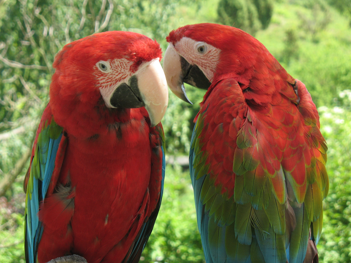 Besuch im Tierpark