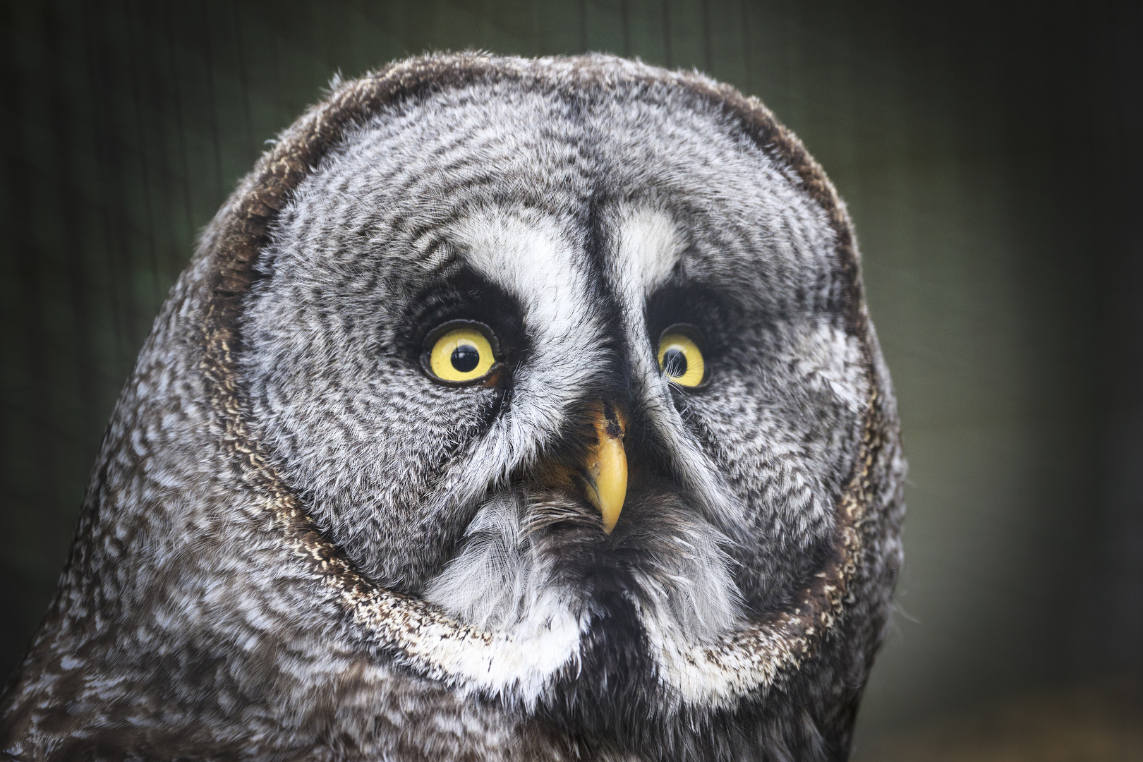 Besuch im Tierpark Nindorf Lüneburger Heide__D4A1304