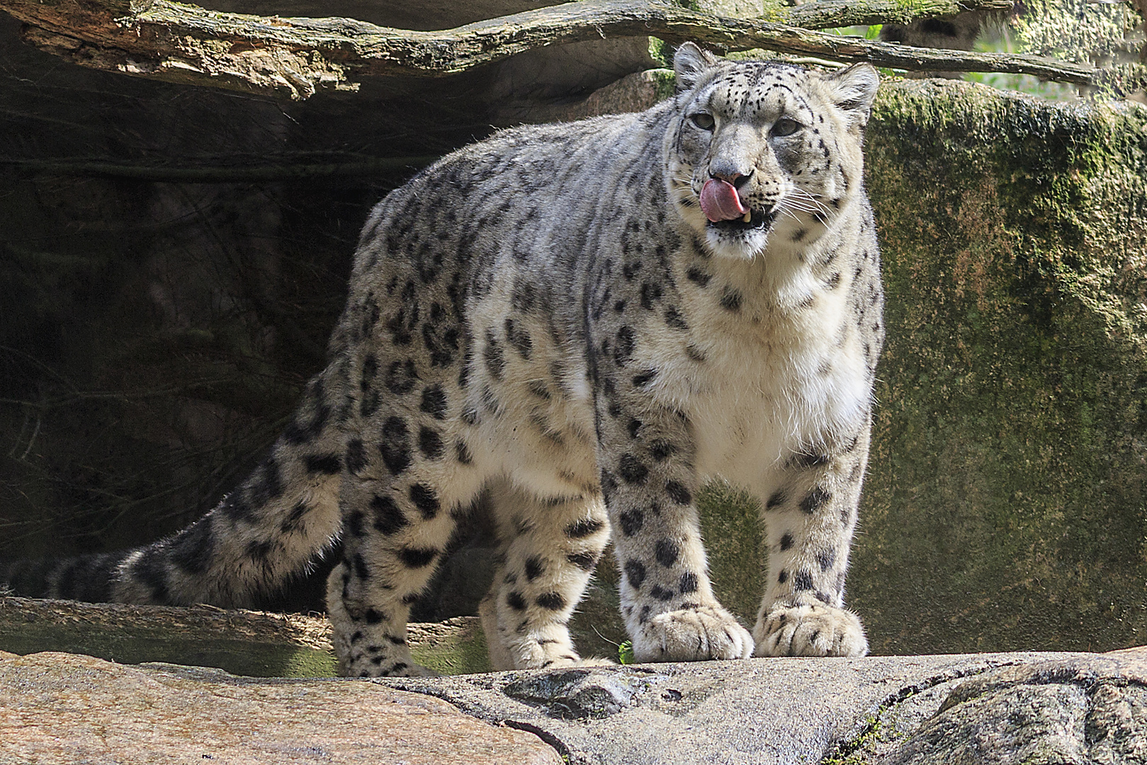 Besuch im Tierpark Nindorf Lüneburger Heide_D4A1515