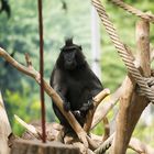 Besuch im Vivarium