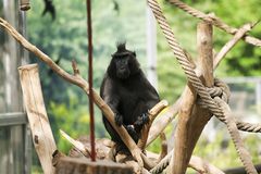 Besuch im Vivarium