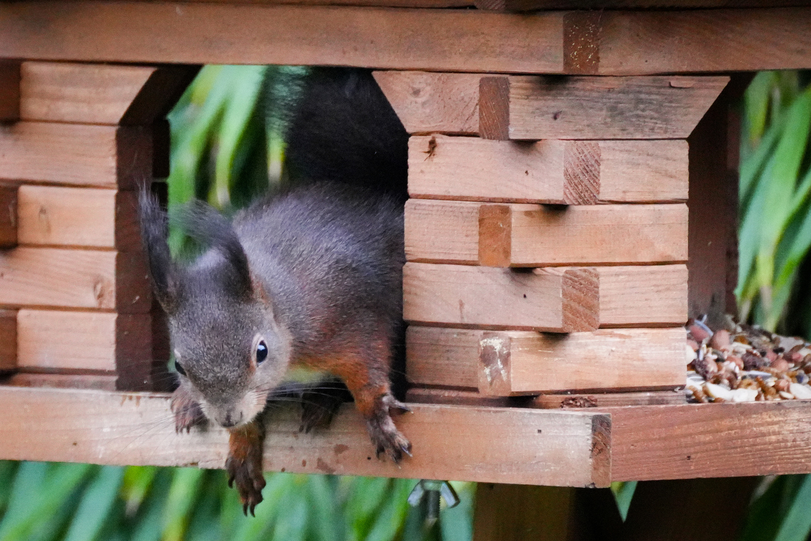 Besuch im Vogelhaus