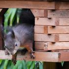 Besuch im Vogelhaus