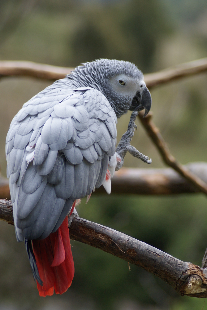 Besuch im Vogelpark