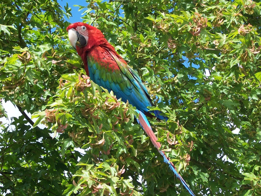 Besuch im Vogelpark Marlow