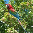 Besuch im Vogelpark Marlow