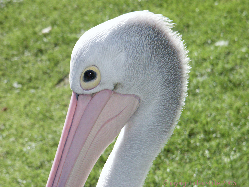 Besuch im Vogelpark Walsrode...