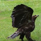 Besuch im Weltvogelpark Walsrode 1